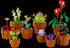 Mini plants 10329